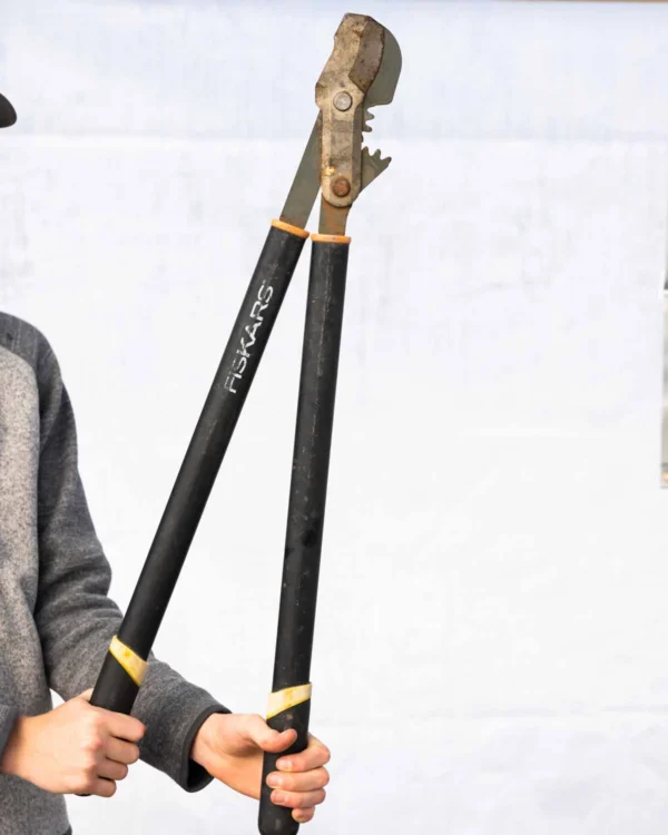 Pruning Loppers
