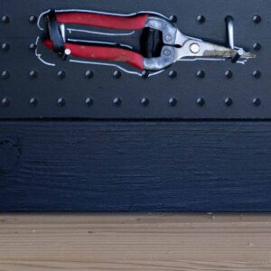 Grape and tomato shears