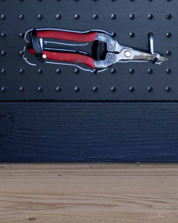Grape and tomato shears