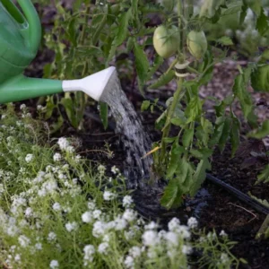 Watering Can