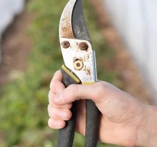 Garden-Tools-13