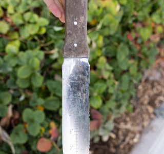 Garden-Tools-21